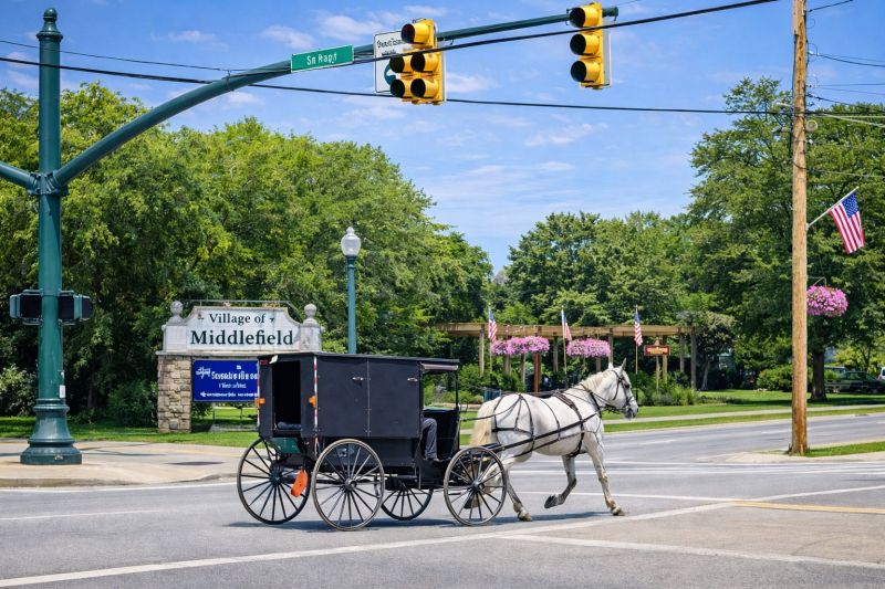 Best Bathroom Remodeling pros in Middleburg, FL